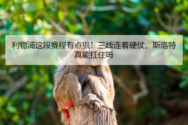 li-wu-pu-zhe-duan-sai-cheng-you-dian-hen-san-xian-lian-zhe-ying-zhang-si-luo-te-zhen-neng-kang-zhu-ma-2-688.jpg