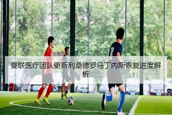 曼联医疗团队更新利桑德罗马丁内斯恢复进度解析