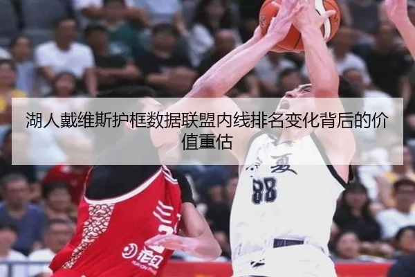 湖人戴维斯护框数据联盟内线排名变化背后的价值重估