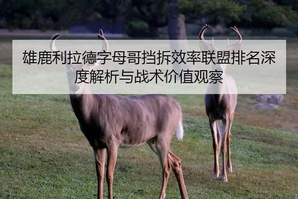 雄鹿利拉德字母哥挡拆效率联盟排名深度解析与战术价值观察