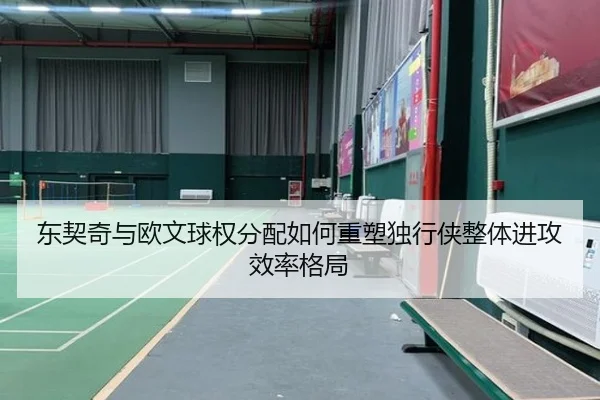 东契奇与欧文球权分配如何重塑独行侠整体进攻效率格局